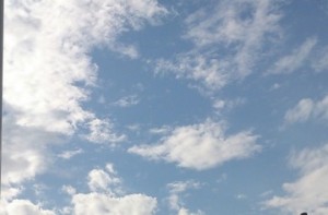 grdr0002336706_0056974125pc
