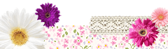 grdr0014847130_0168847988_08